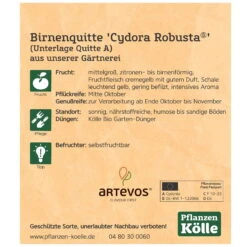 Bio Birnenquitte 'Cydora Robusta'Ⓢ, Topf 10 Liter -Gartengeschäft Im Freien 0480300060 Koelle Bio Cydora Robusta Birnenquitte Busch 2 119768