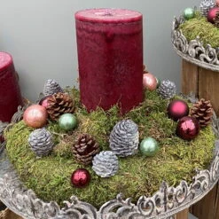 Waldmoos In Der Holzkiste, Ca. 25x13x7 Cm, 4er-Set -Gartengeschäft Im Freien 066110 Moose Anwendungsbeispiele 4 100798