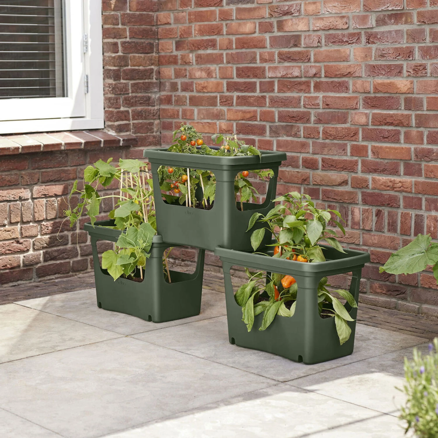 Stack & Grow, Grün, Volumen 15 Liter, Ca. 51 X 35 X 36 Cm 3 Stack & Grow, Grün, Volumen 15 Liter, Ca. 51 X 35 X 36 Cm