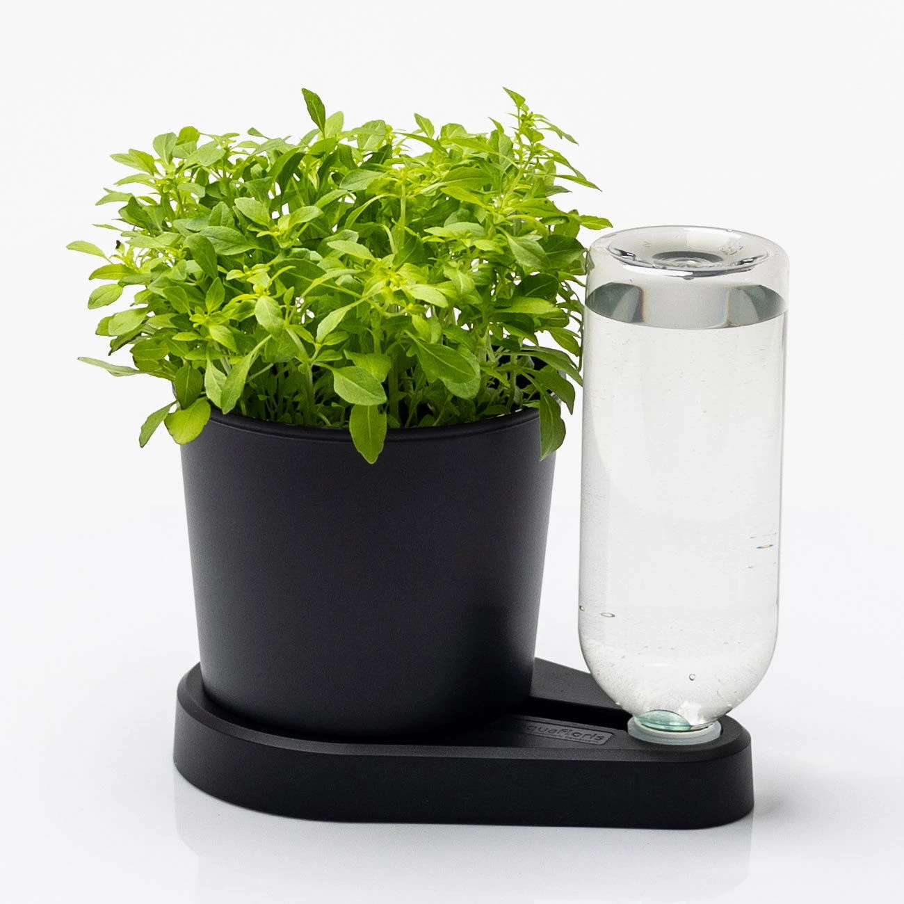 Kräuterheld, Schwarz, PP/PET, 14 X 14 X 22 Cm 5 Kräuterheld, Schwarz, PP/PET, 14 X 14 X 22 Cm – Bild 3