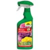 Neudorff Spruzit® AF Rosenschädlingsfrei, 500 Ml 2 Neudorff Spruzit® AF Rosenschädlingsfrei, 500 Ml -Gartengeschäft Im Freien 0950200581 Spruzit AF RosenSchaedlingsFrei 500ml neueVerp 48974