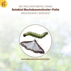 Solabiol Buchsbaumzünsler-Falle, Ausreichend Für Bis Zu 180 M² -Gartengeschäft Im Freien 0950200723 Buchsbaumzuensler Falle fuer bis zu 180qm Flaeche 1 107232