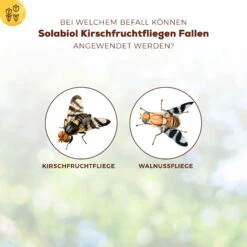 Solabiol Kirschfruchtfliegenfalle, 5er-Pack -Gartengeschäft Im Freien 0950200760 Solabiol Kirschfruchtfliegenfalle 5Stueck 1 107242