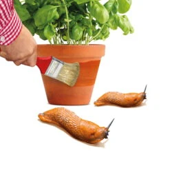 Schnexagon, Anstrich Gegen Schnecken, 375 Ml -Gartengeschäft Im Freien 0950300991 Schnexagon 375ml 1 94152