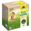 Azet Rasendünger, 5 Kg 1 Azet Rasendünger, 5 Kg -Gartengeschäft Im Freien 0950400466 Azet Rasenduenger 1 105772
