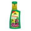Neudorff Ferramin Eisendünger, 250 Ml -Gartengeschäft Im Freien 0950600210 Ferramin Eisenduenger 250ml 42421