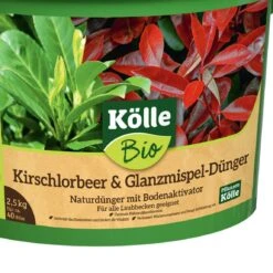 Bio Kirschlorbeer & Glanzmispel-Dünger, 2,5 Kg -Gartengeschäft Im Freien 0950850030 Koelle Bio Kirschlorbeer u Photinia Duenger 2 5kg 1 118155