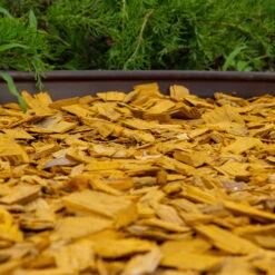 Plantop Dekormulch Goldgelb, 1950 L Gesamt, 39 Sack á 50 Liter 6 Plantop Dekormulch Goldgelb, 1950 L Gesamt, 39 Sack á 50 Liter -Gartengeschäft Im Freien 0960 mulch gelb 125177