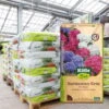 Kölle Bio Hortensienerde Torffrei, 1200l, 60 Sack á 20l 2 Kölle Bio Hortensienerde Torffrei, 1200l, 60 Sack á 20l -Gartengeschäft Im Freien 0960300250 Koelle Bio Hortensienerde 20l Halbpalette 60St 85672