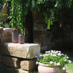 Kölle LED-Solarlaterne Adana, Gold Matt, Höhe 26 Cm, Ø 16 Cm -Gartengeschäft Im Freien 2950100472 2950100469 Adana 1 113714