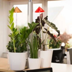 Sunlite Pflanzenlampe Kupfer, 7 Watt -Gartengeschäft Im Freien 2950200231 Sunlite Pflanzenlampe Kupfer 7W 1 60399