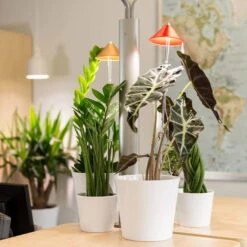 Sunlite Pflanzenlampe Kupfer, 7 Watt -Gartengeschäft Im Freien 2950200231 Sunlite Pflanzenlampe Kupfer 7W 4 60396