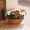 Euro 3 Plast Pflanzschale Olimpo Terra -Gartengeschäft Im Freien 3210100223 Pflanzschale Olimpo terra 60cm Erdvol 38Ltr 34297