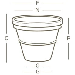 Euro 3 Plast Pflanzkübel Doppio Bordo Terra -Gartengeschäft Im Freien 3210100272 Pflanzkuebel Doppio Bordo technische Zeichnung 111247 1