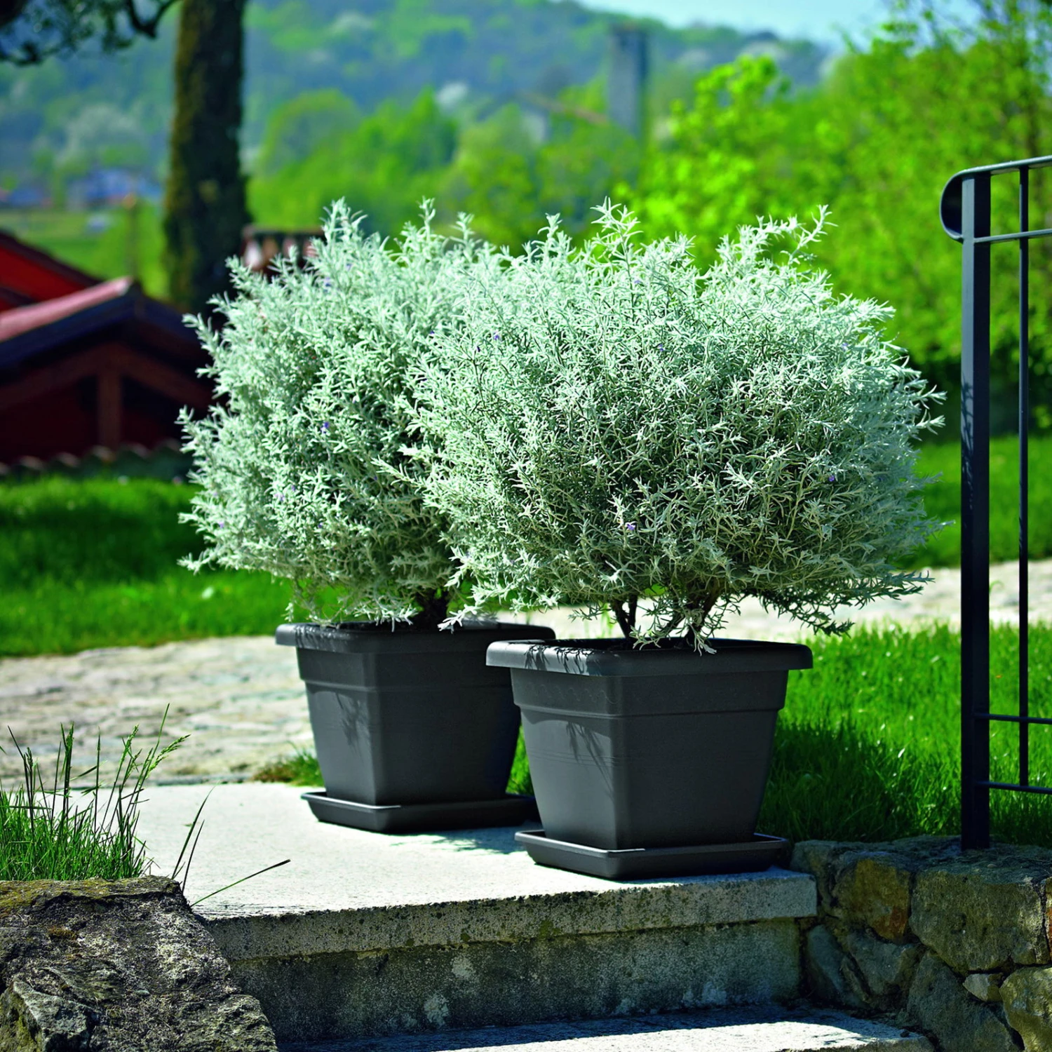 Pflanzkübel Krea Quadro, Anthrazit, L 35 X B 35 X H 30 Cm 3 Pflanzkübel Krea Quadro, Anthrazit, L 35 X B 35 X H 30 Cm