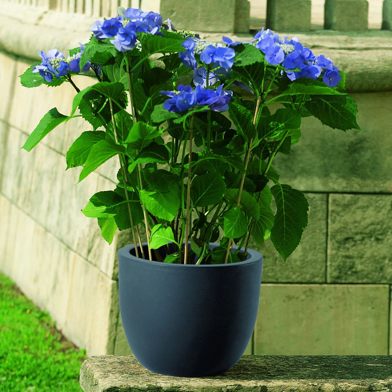 Euro 3 Plast Pflanzkübel Etria Perlschwarz 3 Euro 3 Plast Pflanzkübel Etria Perlschwarz