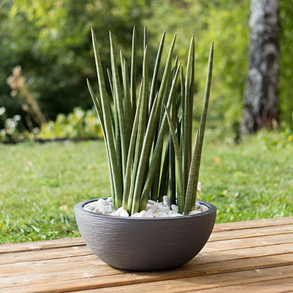 Pflanzschale Graphit Ella Anthrazit – Bild 2