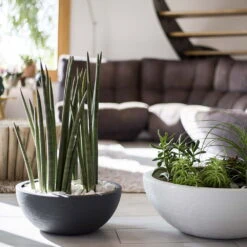 Pflanzschale Graphit Ella Anthrazit -Gartengeschäft Im Freien 3210103482 Pflanzschale Graphit Ella anthrazit 40x16 5cm 14 9l 04 48314