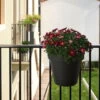 Balkon-Hängetopf Be Up Duo Mit Wasserreservoir, Anthrazit, 25 Cm, Erdvol. 8 L -Gartengeschäft Im Freien 3210103541 Balkon Haengetopf Be Up Duo mitWassereinsatz anthrazit 25cm 8L 46800
