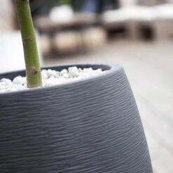 Pflanzgefäß Graphit Egg, Anthrazit, Wasserdicht, Robust -Gartengeschäft Im Freien 3210103698 Pflanzgefaess Graphit Egg anthrazit D50xH60cm 53Ltr 2 62075