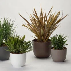 Pflanzkübel 'Rio', Rost, Ø 34 X H 28 Cm -Gartengeschäft Im Freien 3210104130 3210104131 3210104132 3210104133 pflanzkuebel rio 122622 2