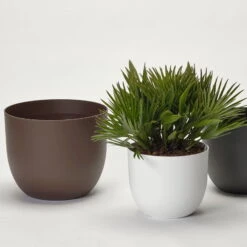 Pflanzkübel 'Rio', Rost, Ø 29 X H 24 Cm -Gartengeschäft Im Freien 3210104130 3210104131 3210104132 pflanzkuebel rio 1 122626 1