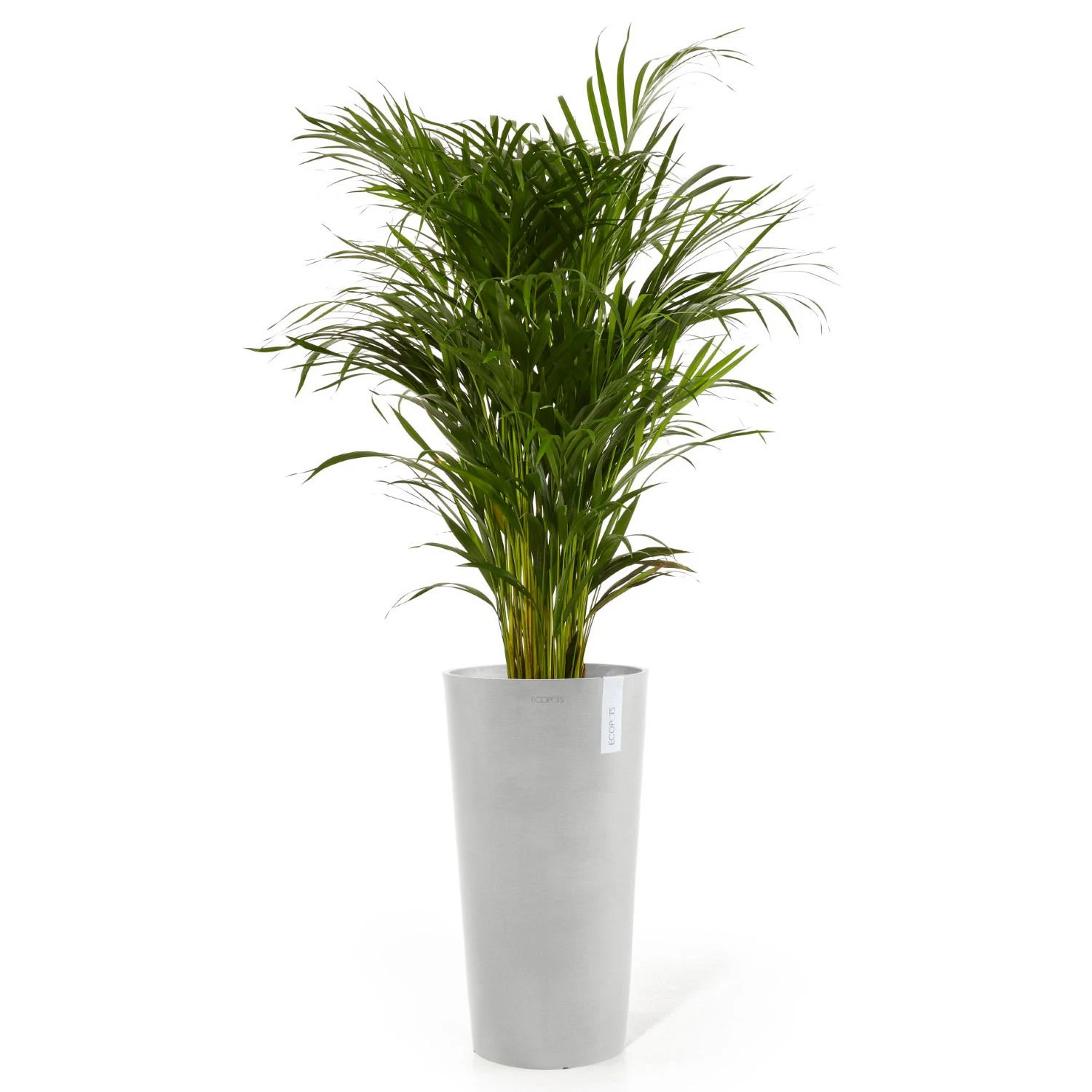 Pflanzgefäß 'Amsterdam Midi', Weißgrau, Ø 34 X H 66 Cm 4 Pflanzgefäß 'Amsterdam Midi', Weißgrau, Ø 34 X H 66 Cm – Bild 2