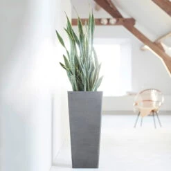 Pflanzgefäß 'Rotterdam MidHigh', Grau -Gartengeschäft Im Freien 3210104153 pflanzgefaess rotterdam high 1 117471