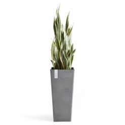 Pflanzgefäß 'Rotterdam MidHigh', Grau -Gartengeschäft Im Freien 3210104153 pflanzgefaess rotterdam high 3 117469