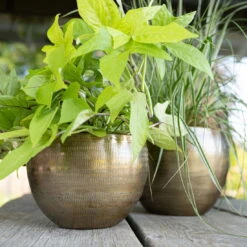 Pflanzgefäß 'Rowen', Gold, Ø 22 X H 17 Cm -Gartengeschäft Im Freien 3210801609 Pflanzgefaess Rowen gold D 22 x H 17 cm 1 114969