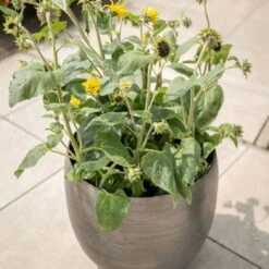 Pflanzgefäß 'Rowen', Silber, Ø 42 X H 41 Cm -Gartengeschäft Im Freien 3210801625 3210801626 3210801627 3210801628 Pflanzgefaess Rowen silber 6 115002