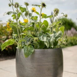 Pflanzgefäß 'Rowen', Silber, Ø 42 X H 41 Cm -Gartengeschäft Im Freien 3210801625 3210801626 3210801627 3210801628 Pflanzgefaess Rowen silber 7 115003
