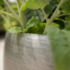 Pflanzgefäß 'Rowen', Silber, Ø 42 X H 41 Cm -Gartengeschäft Im Freien 3210801625 3210801626 3210801627 3210801628 Pflanzgefaess Rowen silber 9 115005