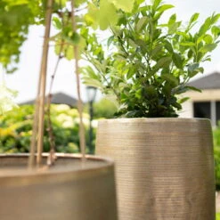 Pflanzgefäß 'Rowen', Gold, Ø 41 X H 72 Cm 16 Pflanzgefäß 'Rowen', Gold, Ø 41 X H 72 Cm -Gartengeschäft Im Freien 3210801630 3210801631 3210801632 3210801633 Pflanzgefaess Rowen gold 2 115015