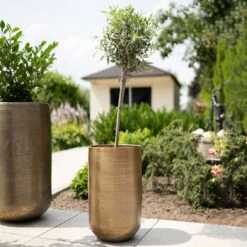 Pflanzgefäß 'Rowen', Gold, Ø 41 X H 72 Cm 14 Pflanzgefäß 'Rowen', Gold, Ø 41 X H 72 Cm -Gartengeschäft Im Freien 3210801630 3210801631 3210801632 3210801633 Pflanzgefaess Rowen gold 4 115017