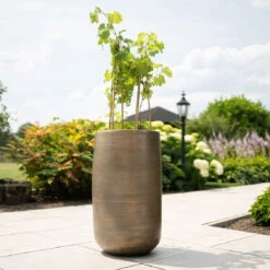 Pflanzgefäß 'Rowen', Gold, Ø 41 X H 72 Cm 13 Pflanzgefäß 'Rowen', Gold, Ø 41 X H 72 Cm -Gartengeschäft Im Freien 3210801630 3210801631 3210801632 3210801633 Pflanzgefaess Rowen gold 5 115018