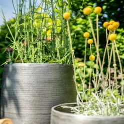 Pflanzgefäß 'Rowen', Silber, Ø 41 X H 72 Cm 16 Pflanzgefäß 'Rowen', Silber, Ø 41 X H 72 Cm -Gartengeschäft Im Freien 3210801635 3210801636 3210801637 3210801638 Pflanzgefaess Rowen silber 12 115029