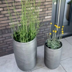 Pflanzgefäß 'Rowen', Silber, Ø 41 X H 72 Cm 20 Pflanzgefäß 'Rowen', Silber, Ø 41 X H 72 Cm -Gartengeschäft Im Freien 3210801635 3210801636 3210801637 3210801638 Pflanzgefaess Rowen silber 6 115025