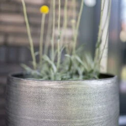 Pflanzgefäß 'Rowen', Silber, Ø 41 X H 72 Cm 19 Pflanzgefäß 'Rowen', Silber, Ø 41 X H 72 Cm -Gartengeschäft Im Freien 3210801635 3210801636 3210801637 3210801638 Pflanzgefaess Rowen silber 7 115026