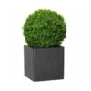 Pflanztrog IQ Dutch Spencer, Schwarz, Frostfest Bis - 40 °C, Stabil, 100% Recycelbar 1 Pflanztrog IQ Dutch Spencer, Schwarz, Frostfest Bis - 40 °C, Stabil, 100% Recycelbar -Gartengeschäft Im Freien 3230101068 3230101069 3230101070 3230101071 Pflanztrog iQ Dutch Spencer schwarz4 78735