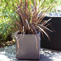 Pflanztrog 'Volcania Dado', Anthrazit, L 39,5 X B 39,5 X H 43,5 Cm -Gartengeschäft Im Freien 3230101084 Pflanztrog Volcania Dado anthrazit 39x39xH43cm 31Ltr6 75428