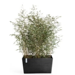 Pflanzkasten 'Paris', Dunkelgrau 5 Pflanzkasten 'Paris', Dunkelgrau -Gartengeschäft Im Freien 3230101241 pflanzkasten paris 2 117490