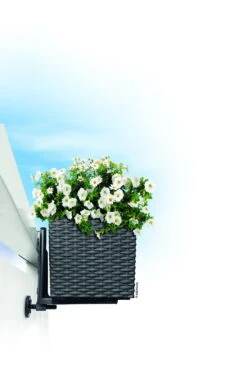 Lechuza Balkonkastenhalter Für Balconera Cottage, Schwarz, 2er-Set -Gartengeschäft Im Freien 3240100090 Balkonkastenhalter schwarz fuer Balconera 4 5x19cm 1 25896