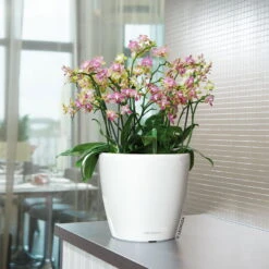 Lechuza Classico Premium 50 LS, Weiß Hochglanz, All-in-One-Set -Gartengeschäft Im Freien 3325100222 Classico Premium 28LS wei All in One Set D28xH26cm RGB 7759