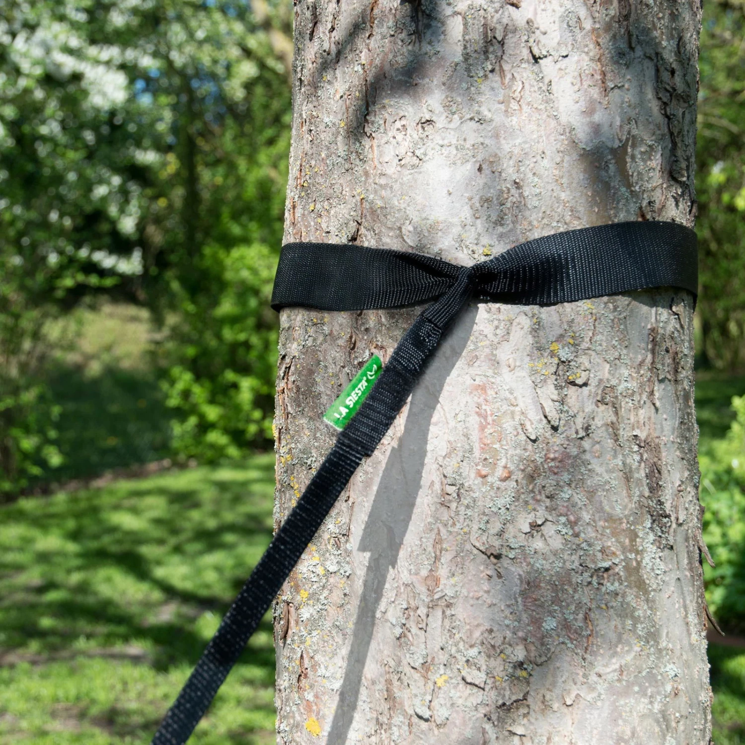 LA SIESTA Singe-Reisehängematte Colibri 3.0, Palm, Nylon, Bis 180 Kg, Reißfest, Leicht 8 LA SIESTA Singe-Reisehängematte Colibri 3.0, Palm, Nylon, Bis 180 Kg, Reißfest, Leicht – Bild 6